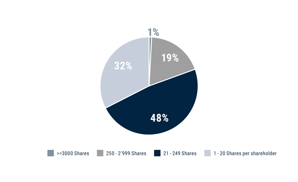 Shareholder structure (quantity)