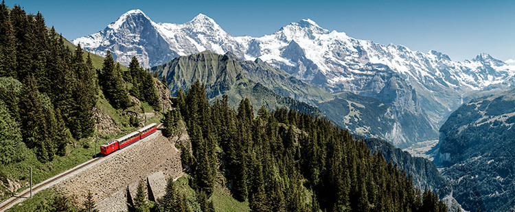 Jungfrau Top Of Europe Schynige Platte