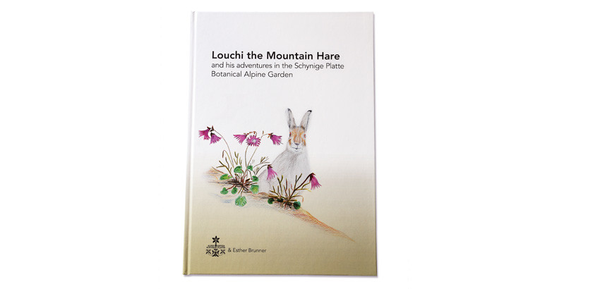 "Louchi the Snow Hare" children's book (in English)