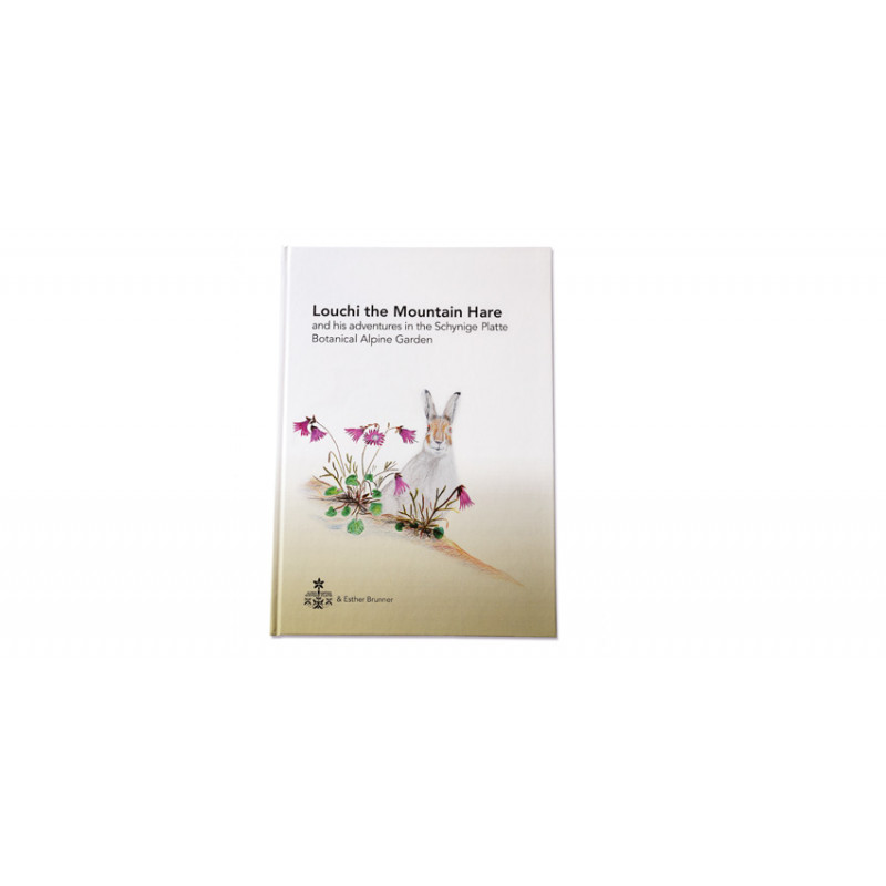 "Louchi the Snow Hare" children's book (in English)